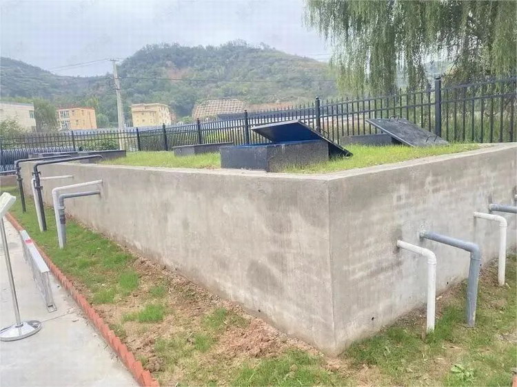 1765783799115115.jpg 111.jpg