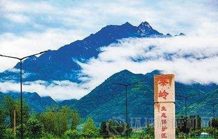 1765786666530011.jpg 111.jpg